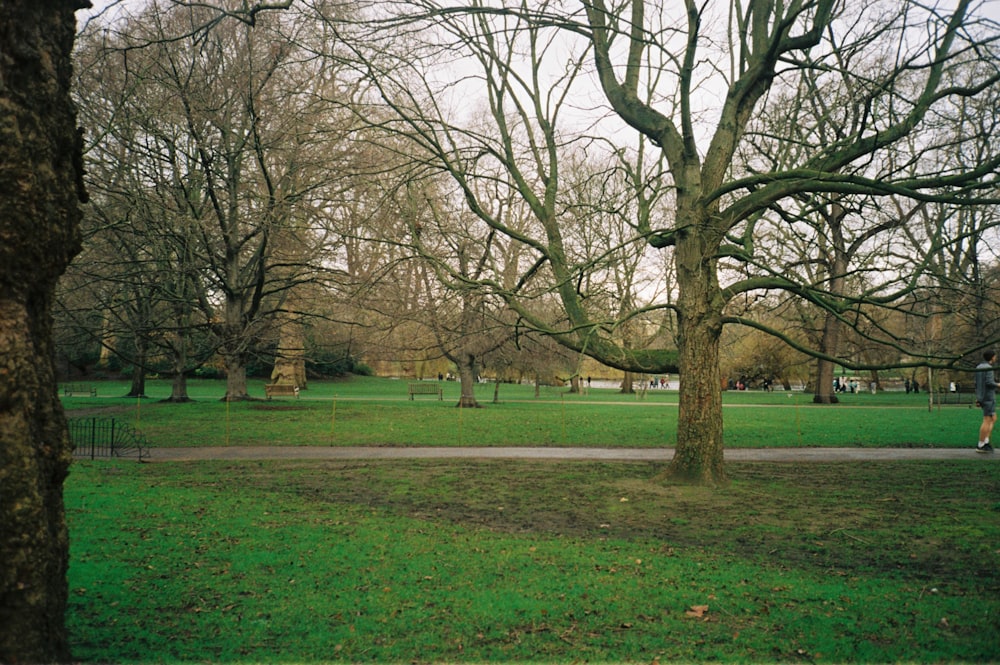 a person walking through a park with trees in the background