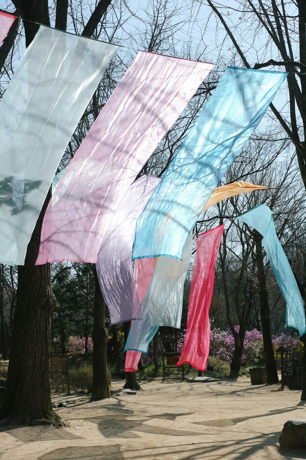 un grupo de banderas de colores colgando de un árbol