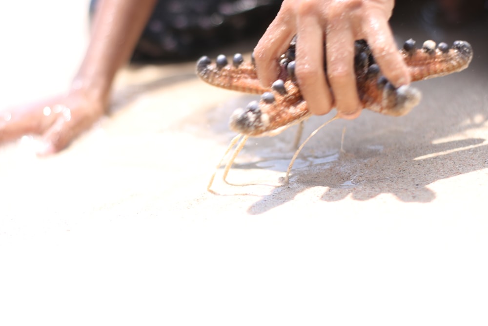 a person reaching for something with their hands