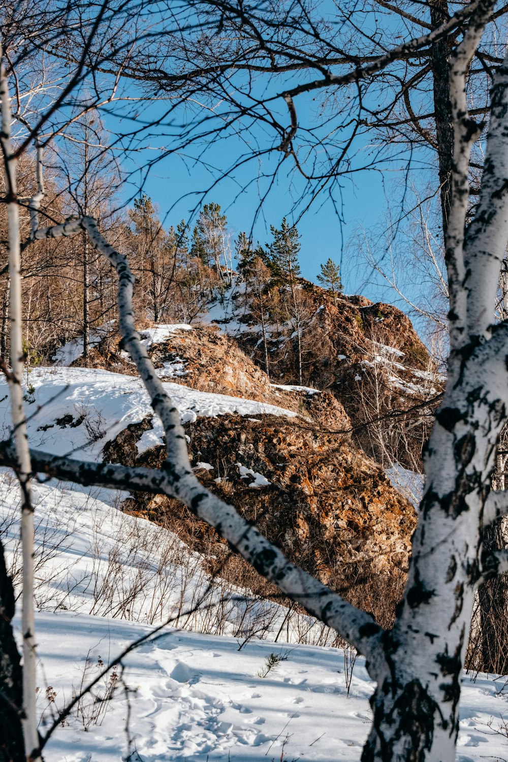 a snowboarder is going down a snowy hill