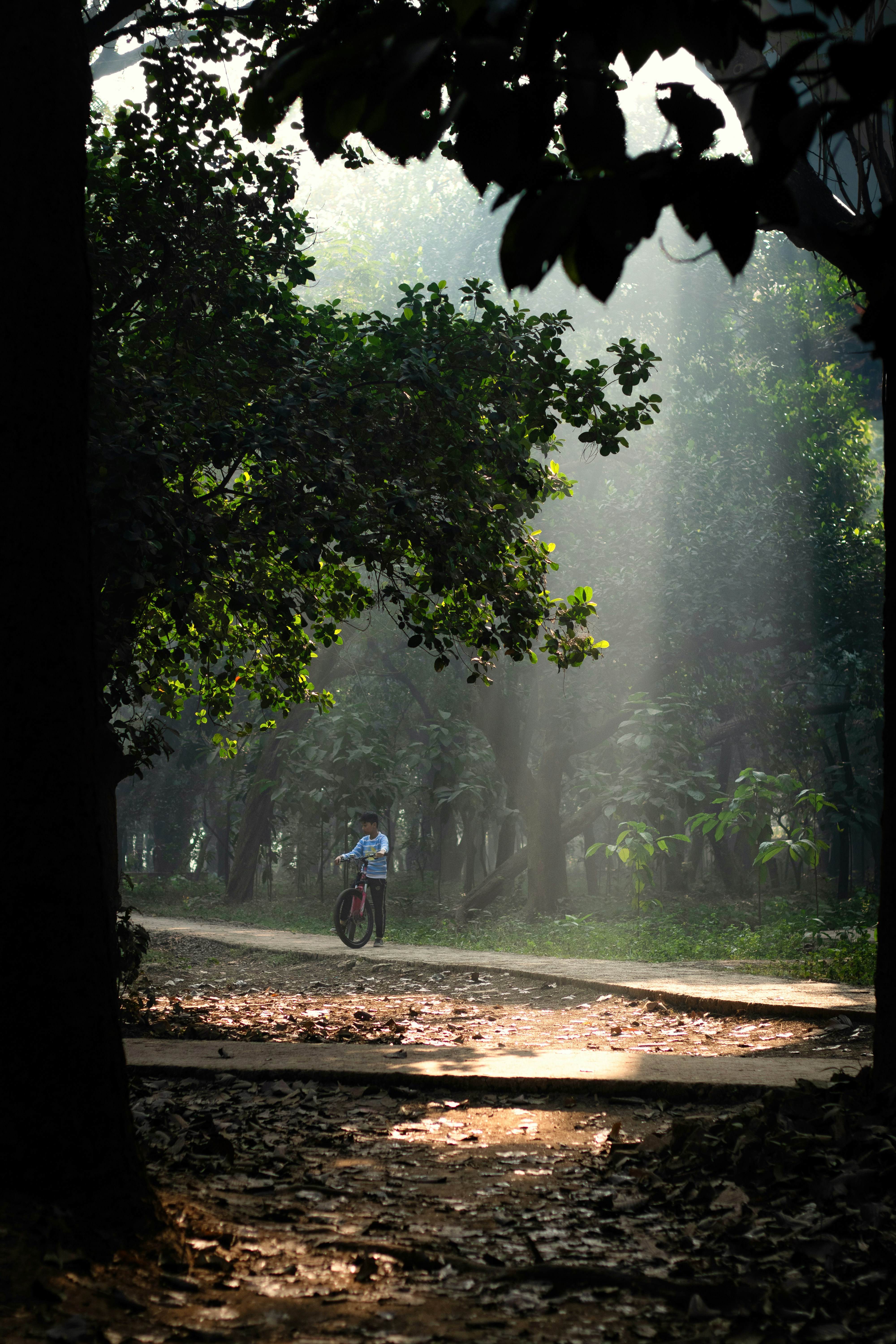 Photo by shakib2777