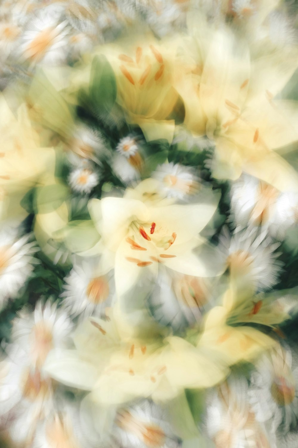 un'immagine sfocata di un fiore bianco