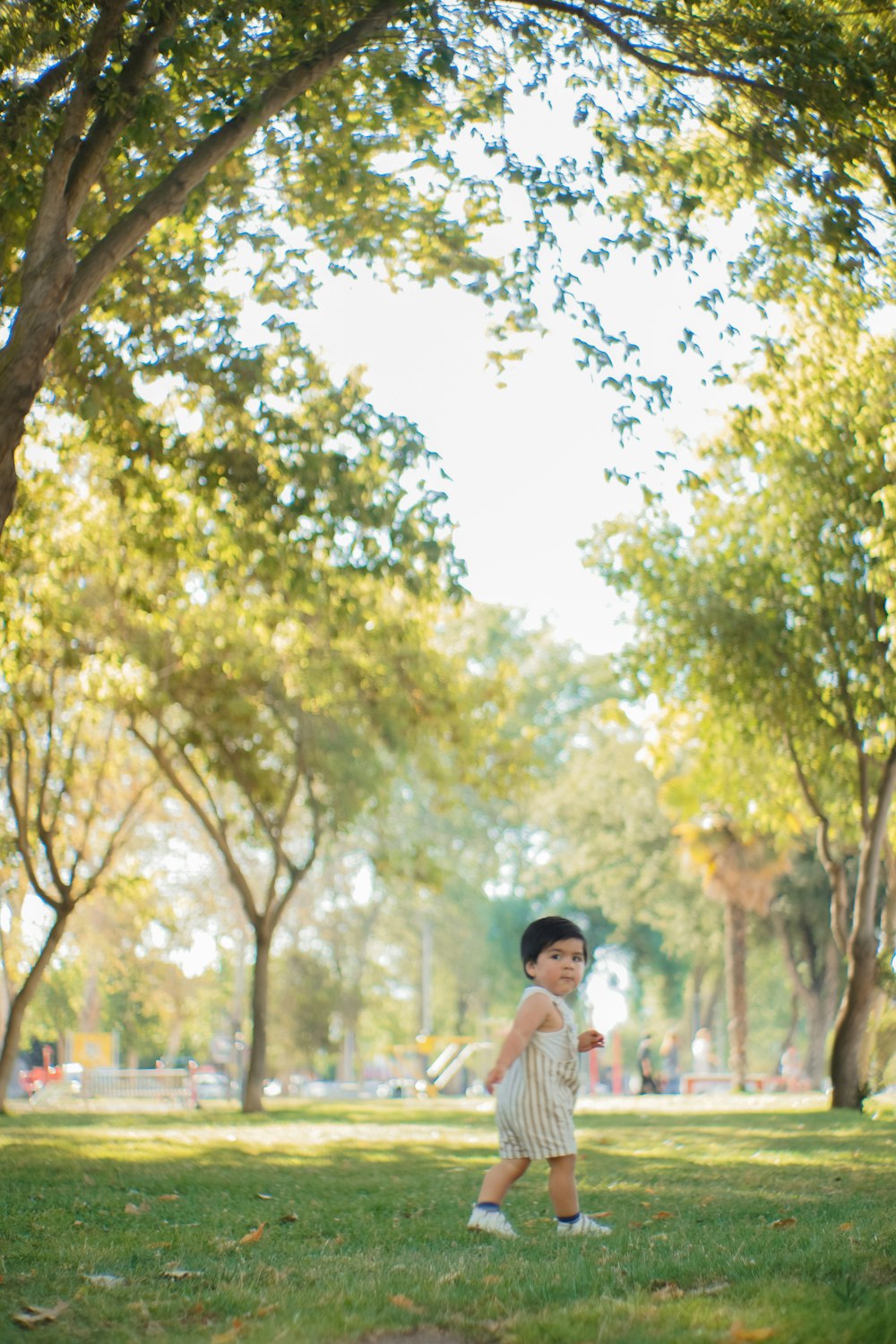 a little boy that is standing in the grass