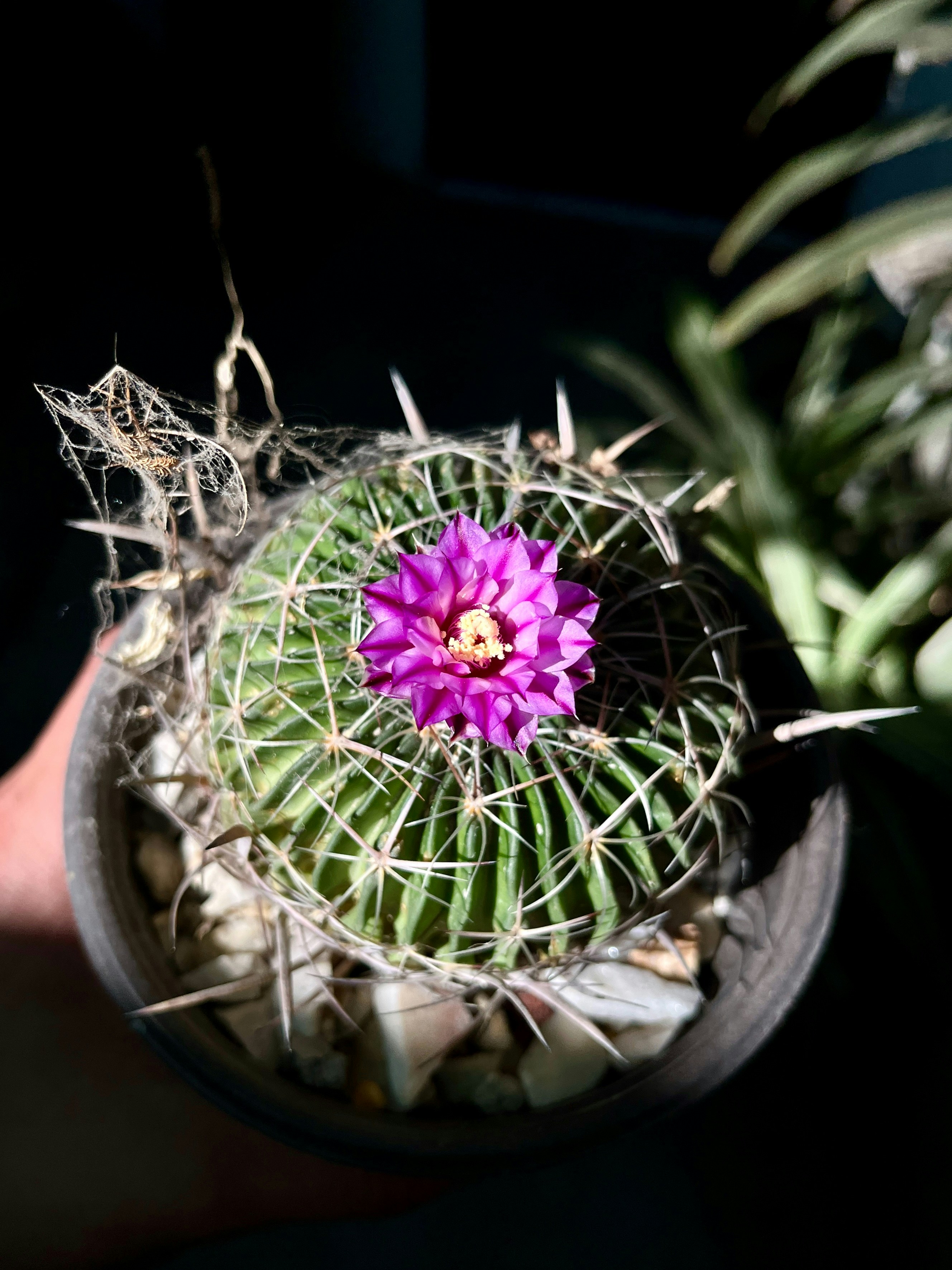 Photo by jorgeel_vm09