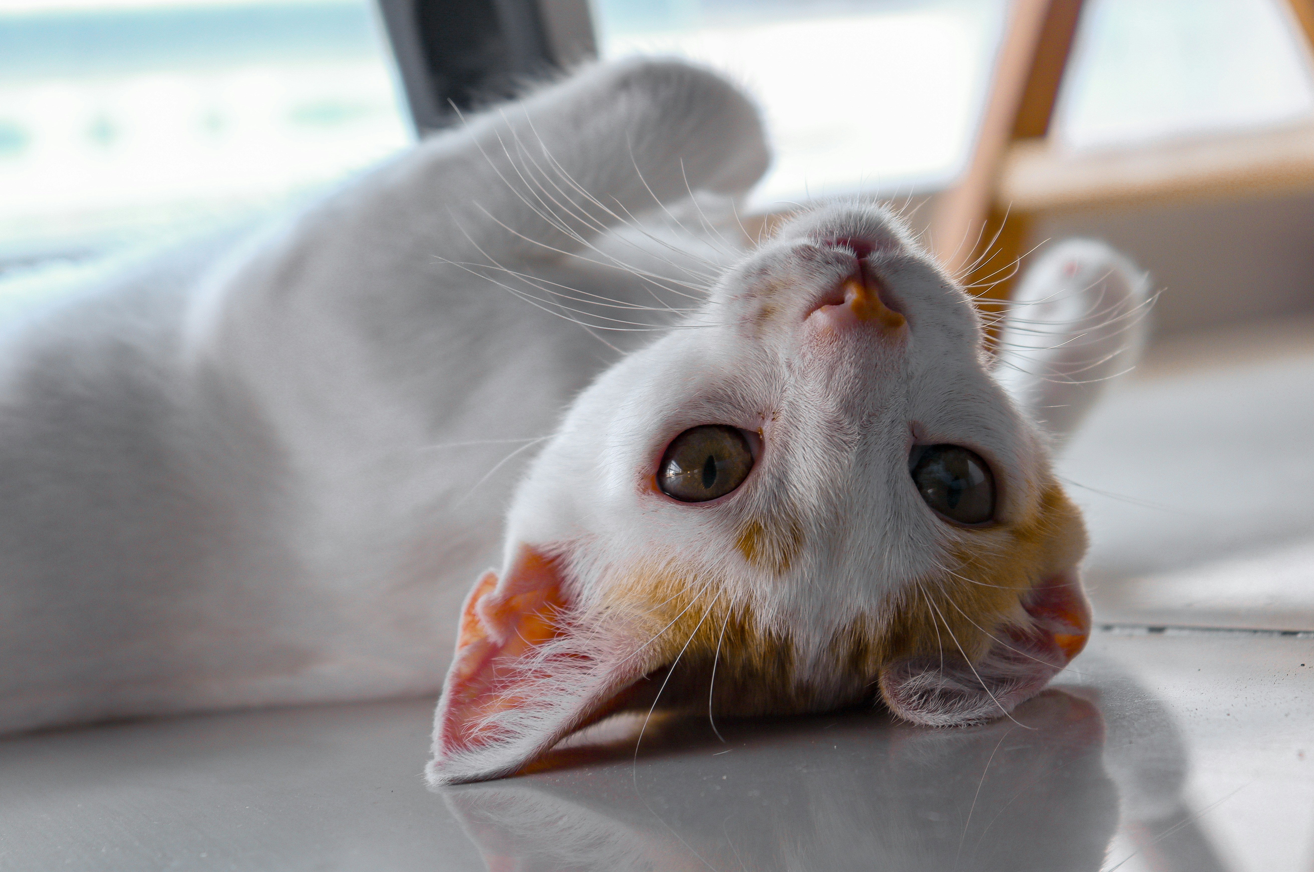 Photo by valeriafloresc