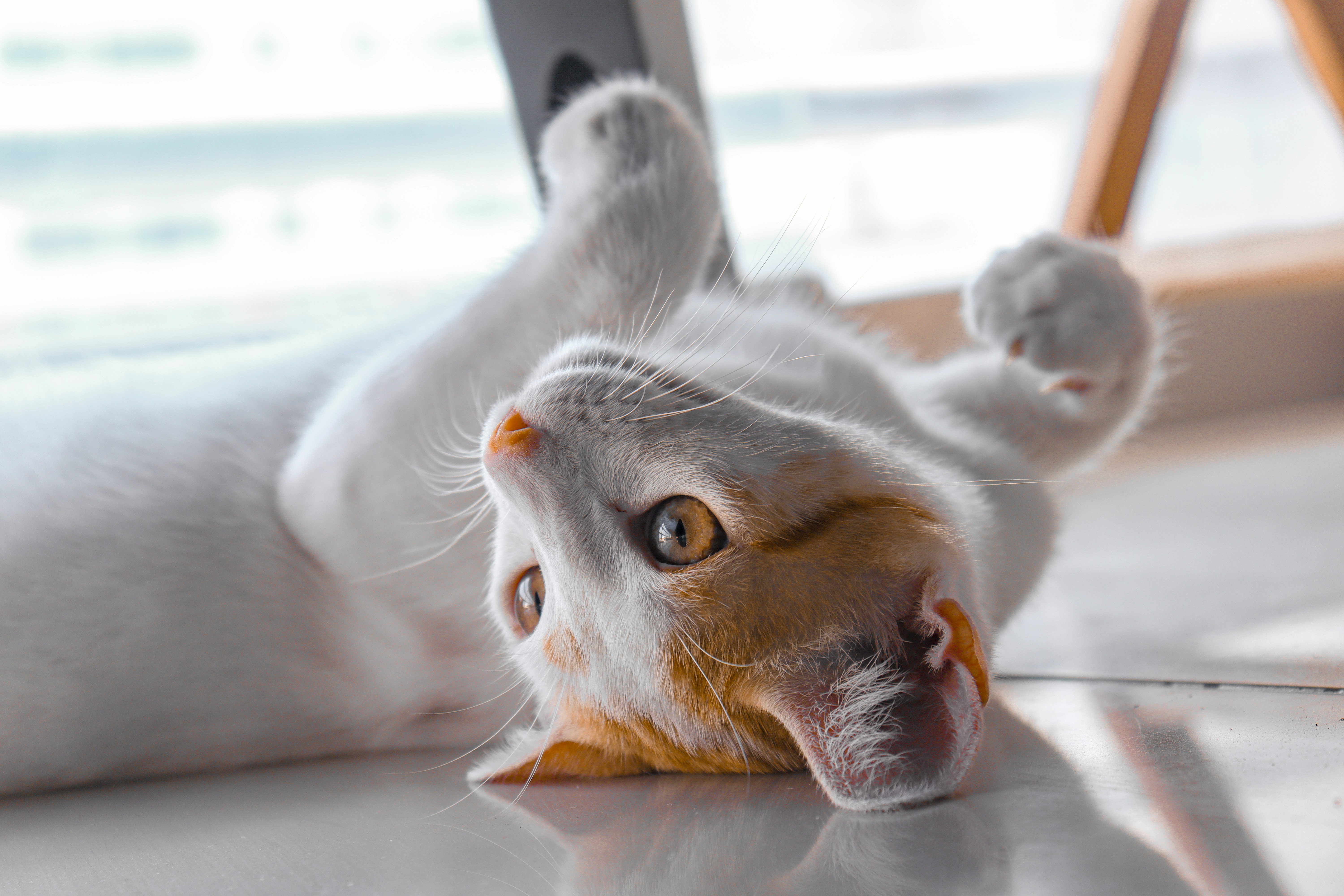 Photo by valeriafloresc