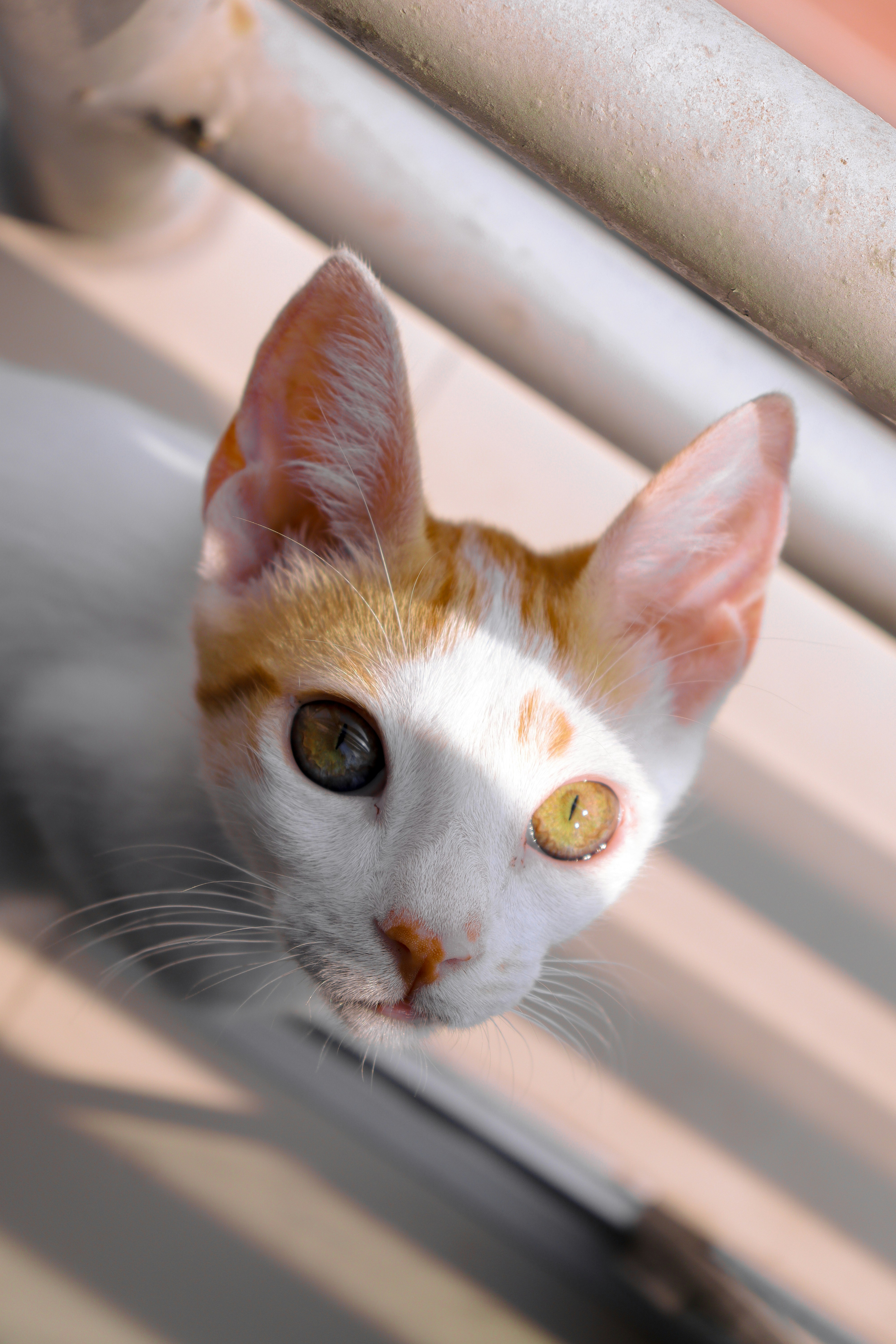 Photo by valeriafloresc