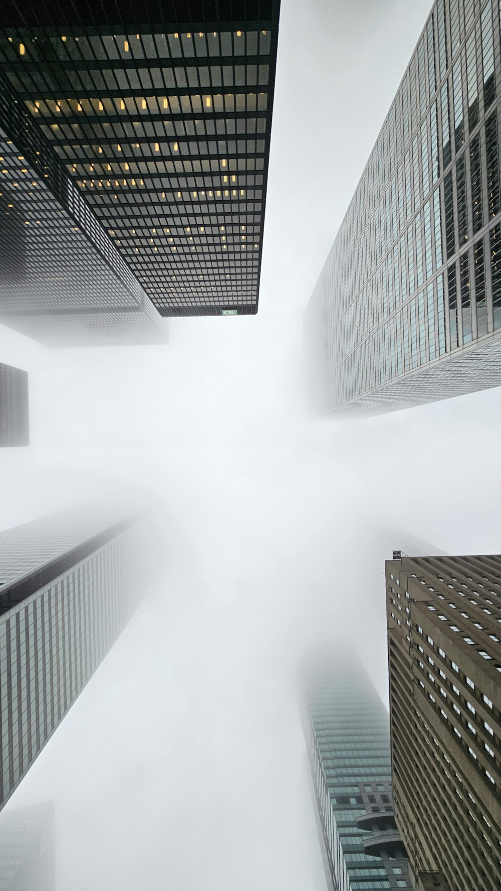 a group of tall buildings in a foggy city