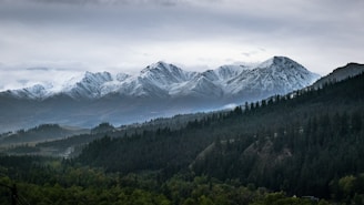 a view of a mountain range with trees in the foreground
