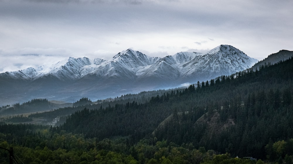 a view of a mountain range with trees in the foreground