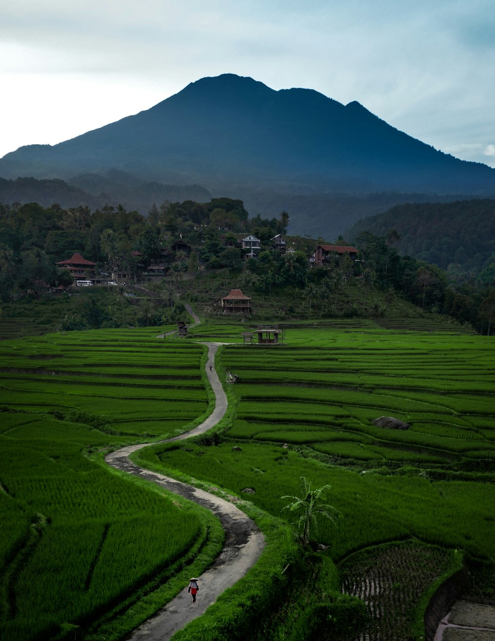 a lush green field with a dirt road going through it