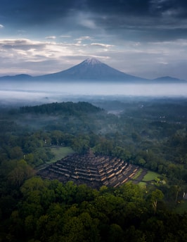 an aerial view of a large pyramid in the middle of a forest
