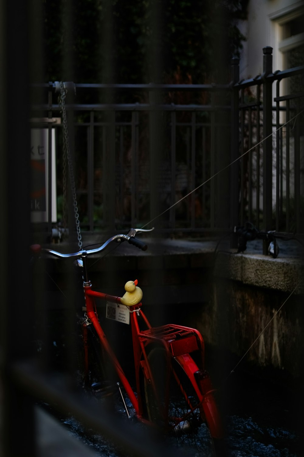 a rubber duck sitting on the back of a red bike