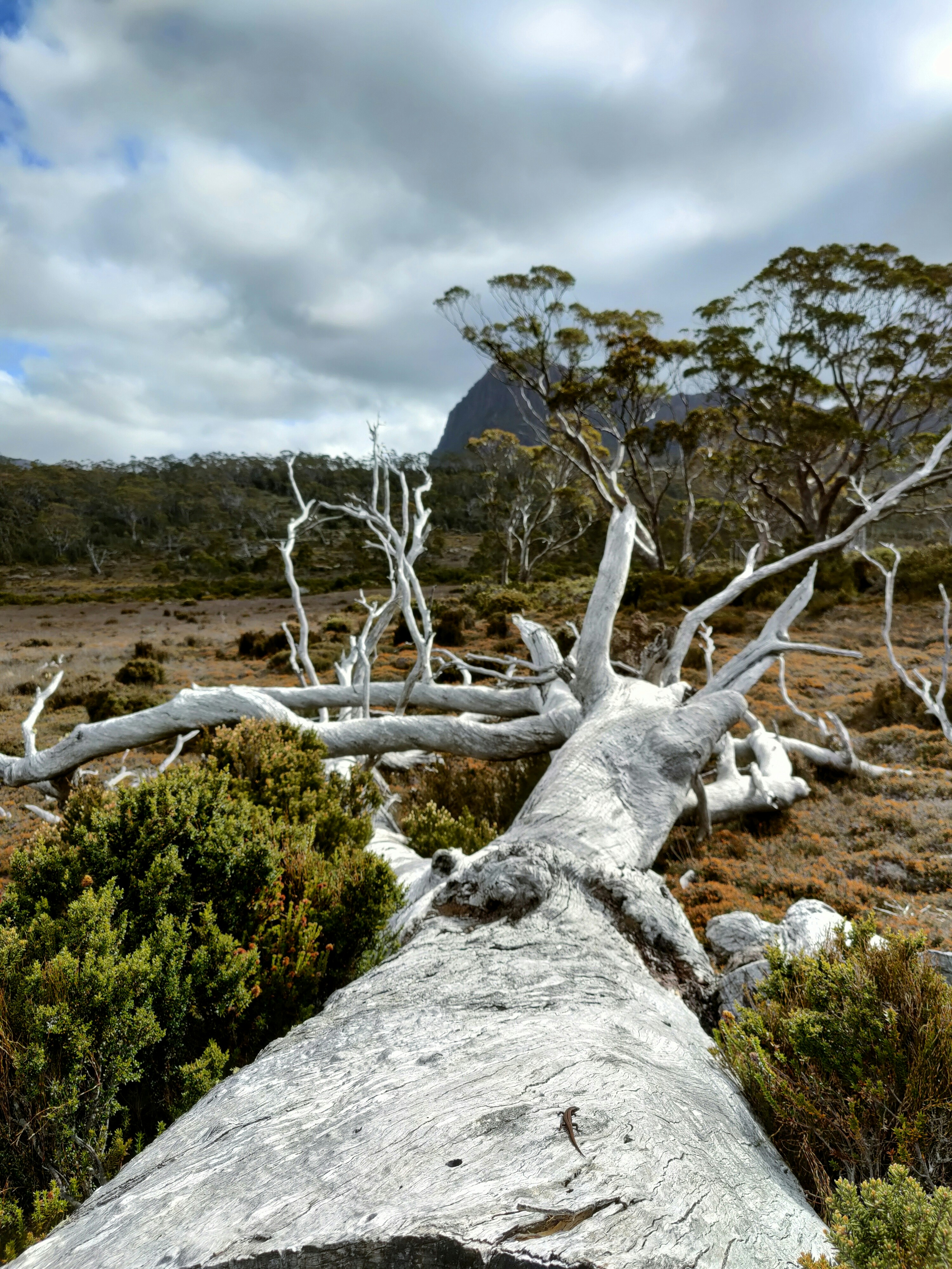 Photo by castingspells91_