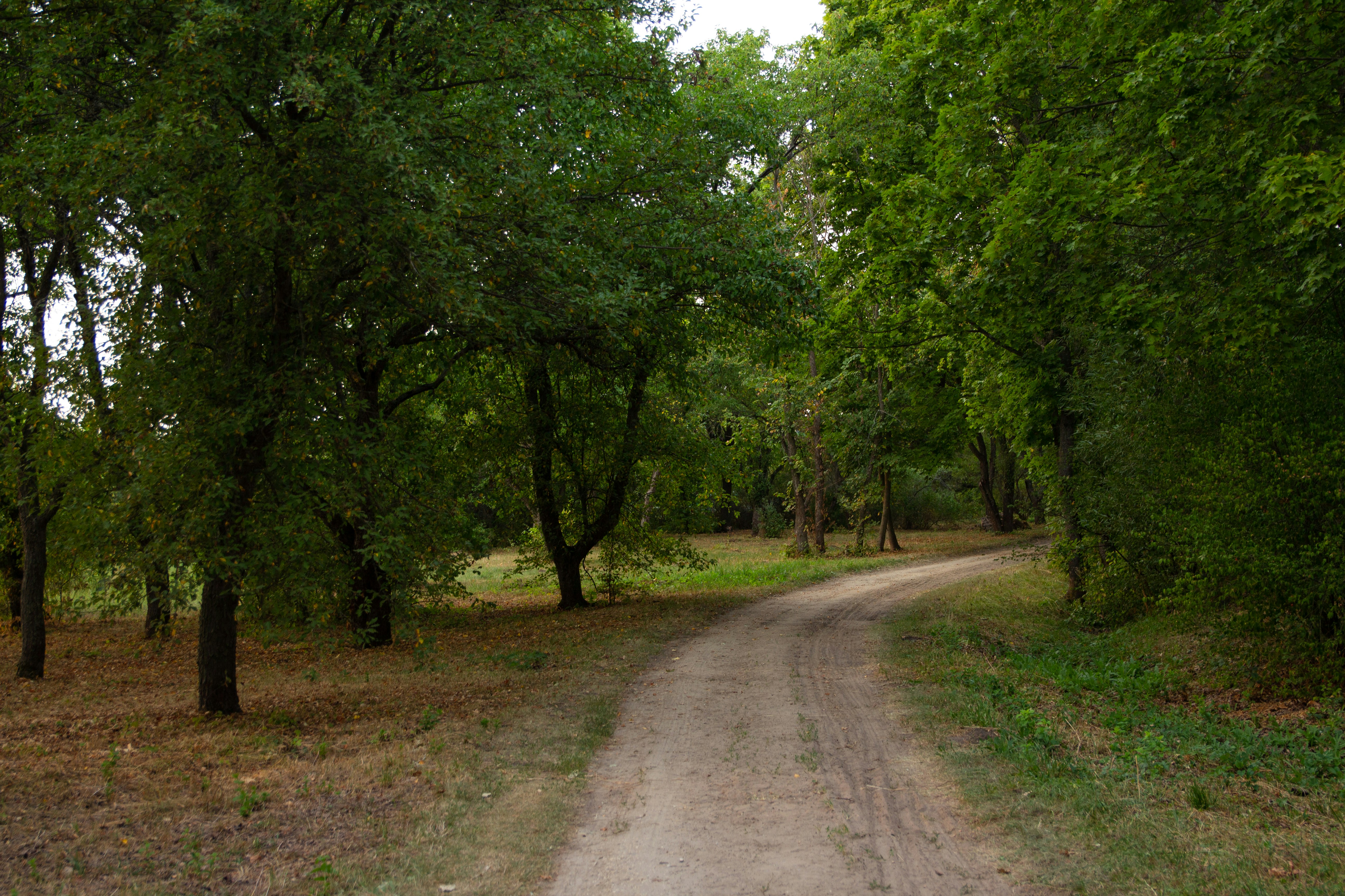 Photo by maksimzaviktorin