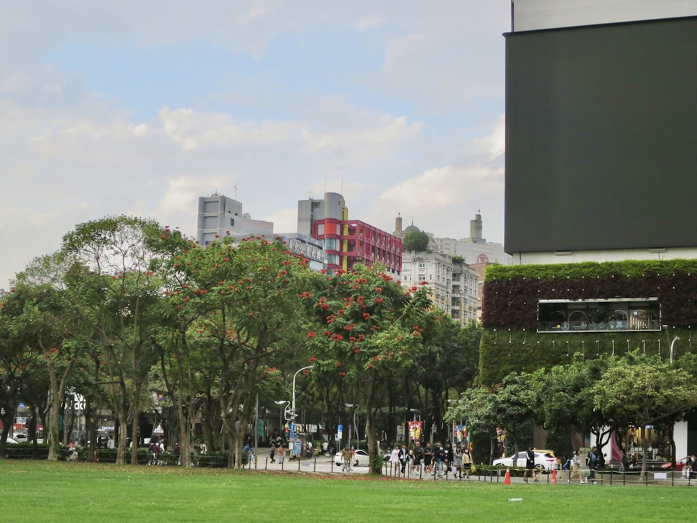 a group of people sitting on a lush green park