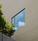 a building with a tree and a window