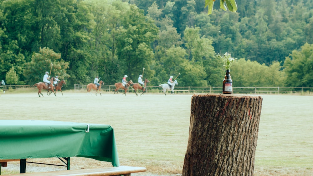 a group of people riding horses on a field