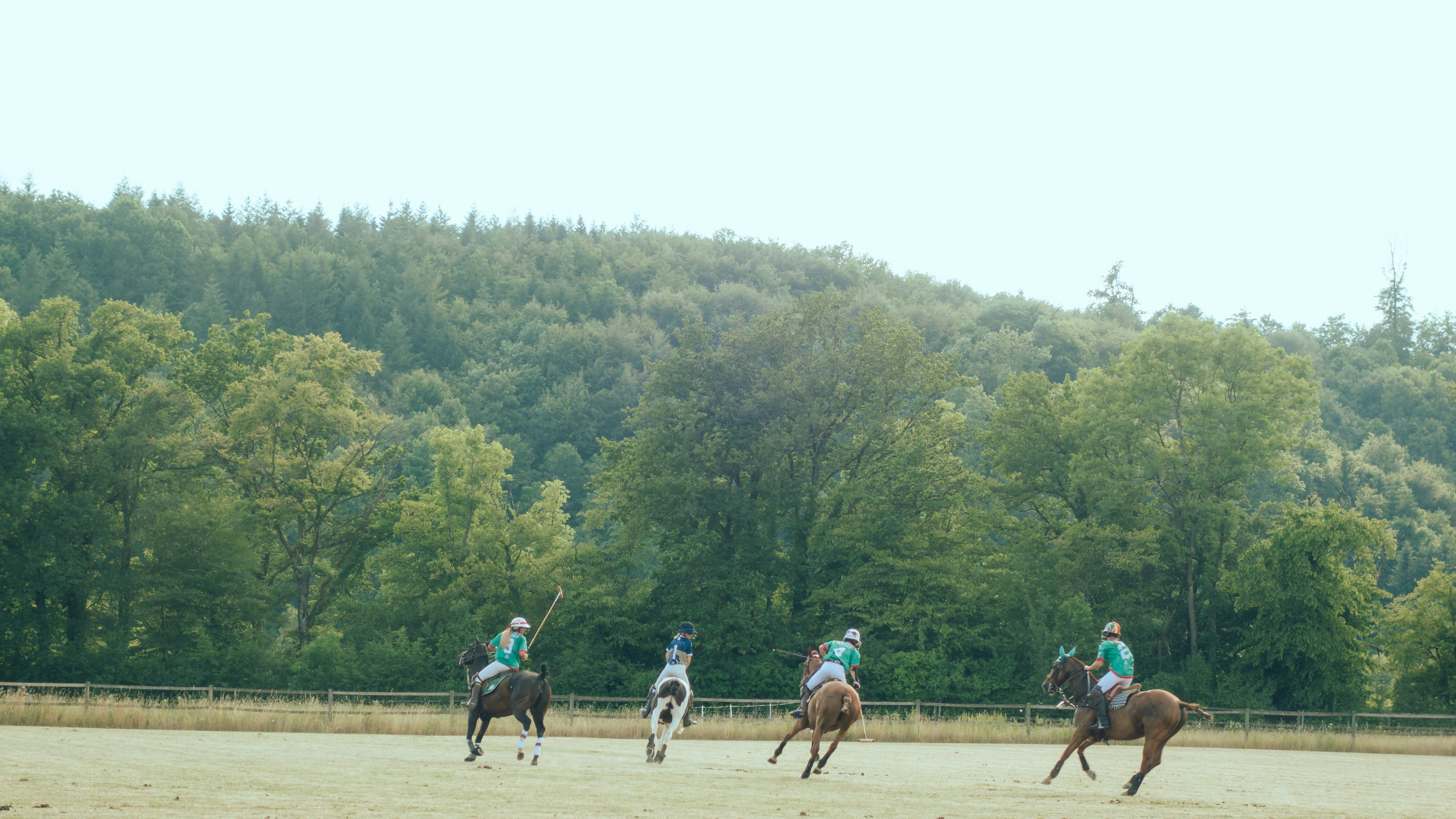 Professional polo team
