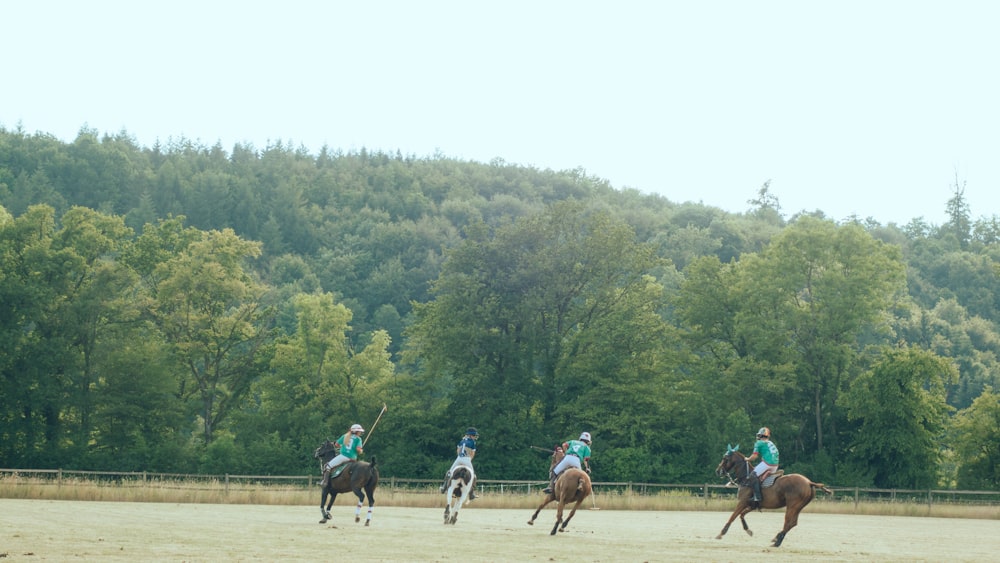 a group of people riding on the backs of horses