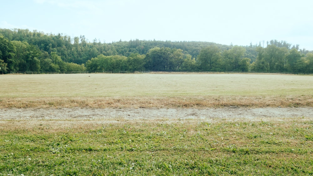 a large open field with trees in the background