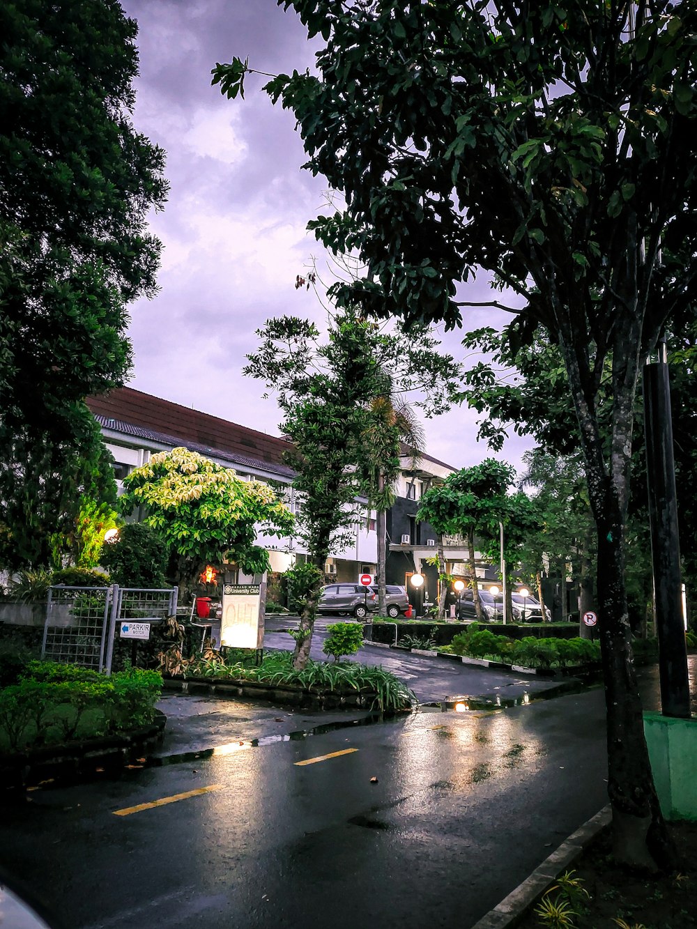 a wet street with trees and a building in the background