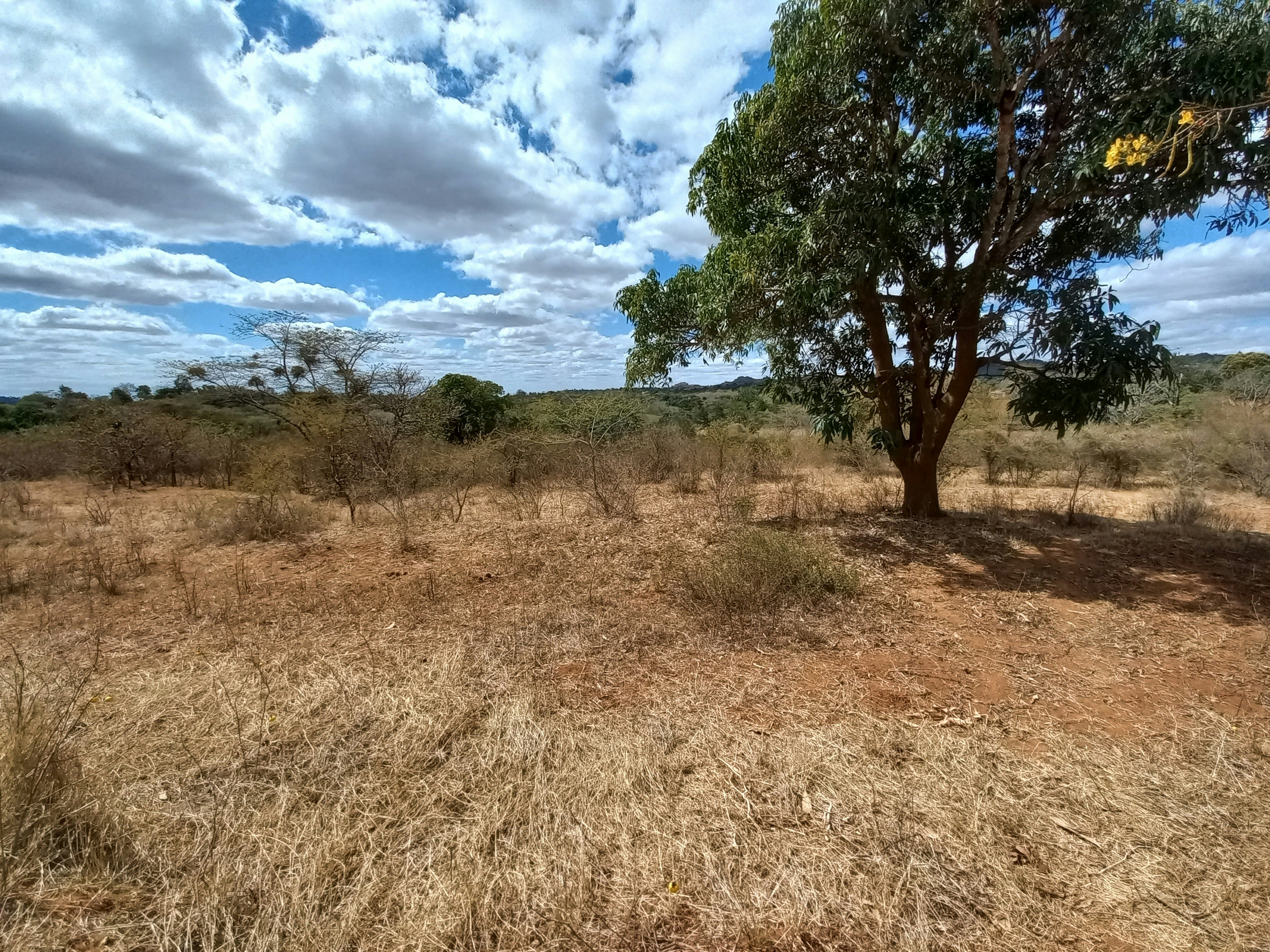 Mwingi