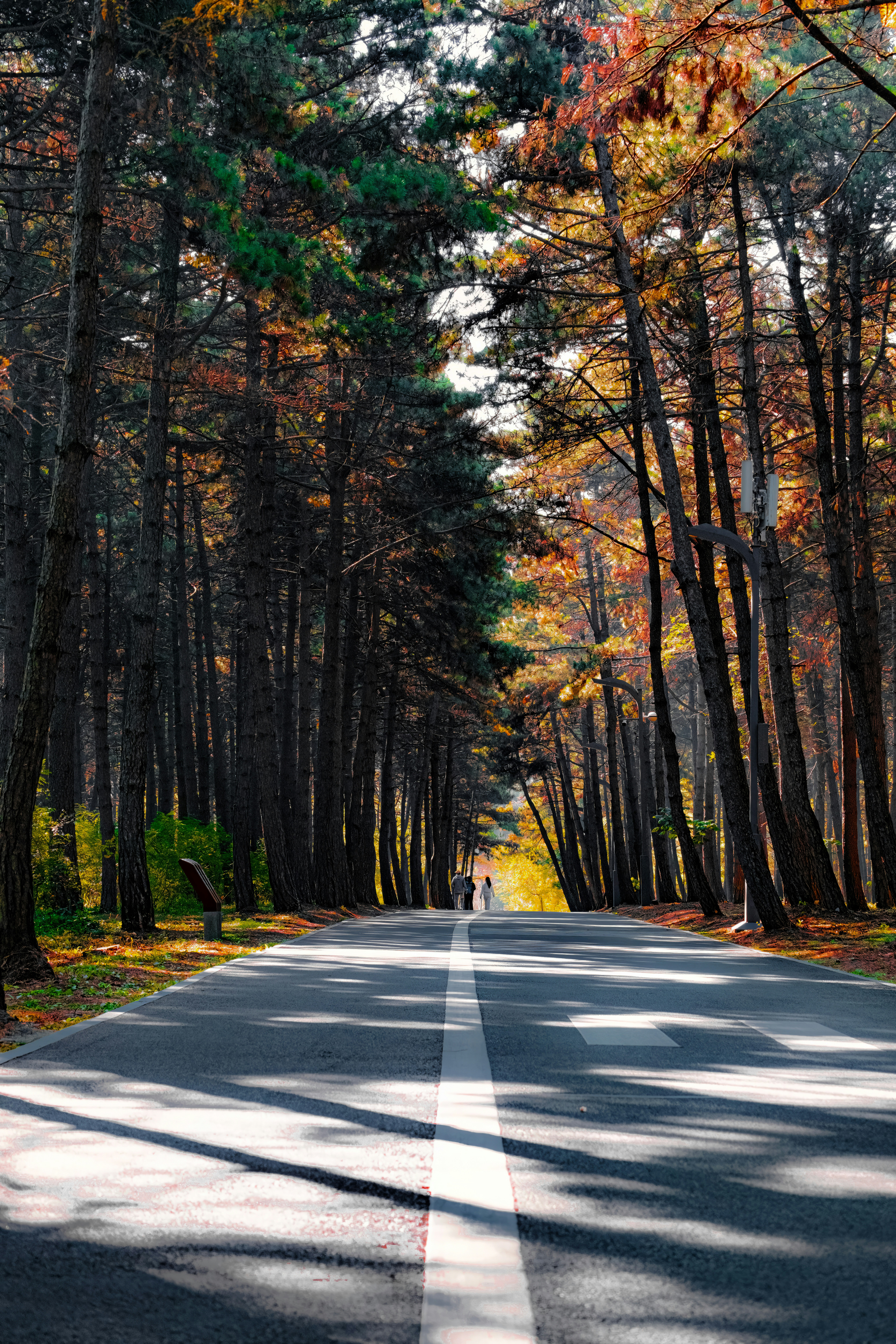 Photo by hattrick1996