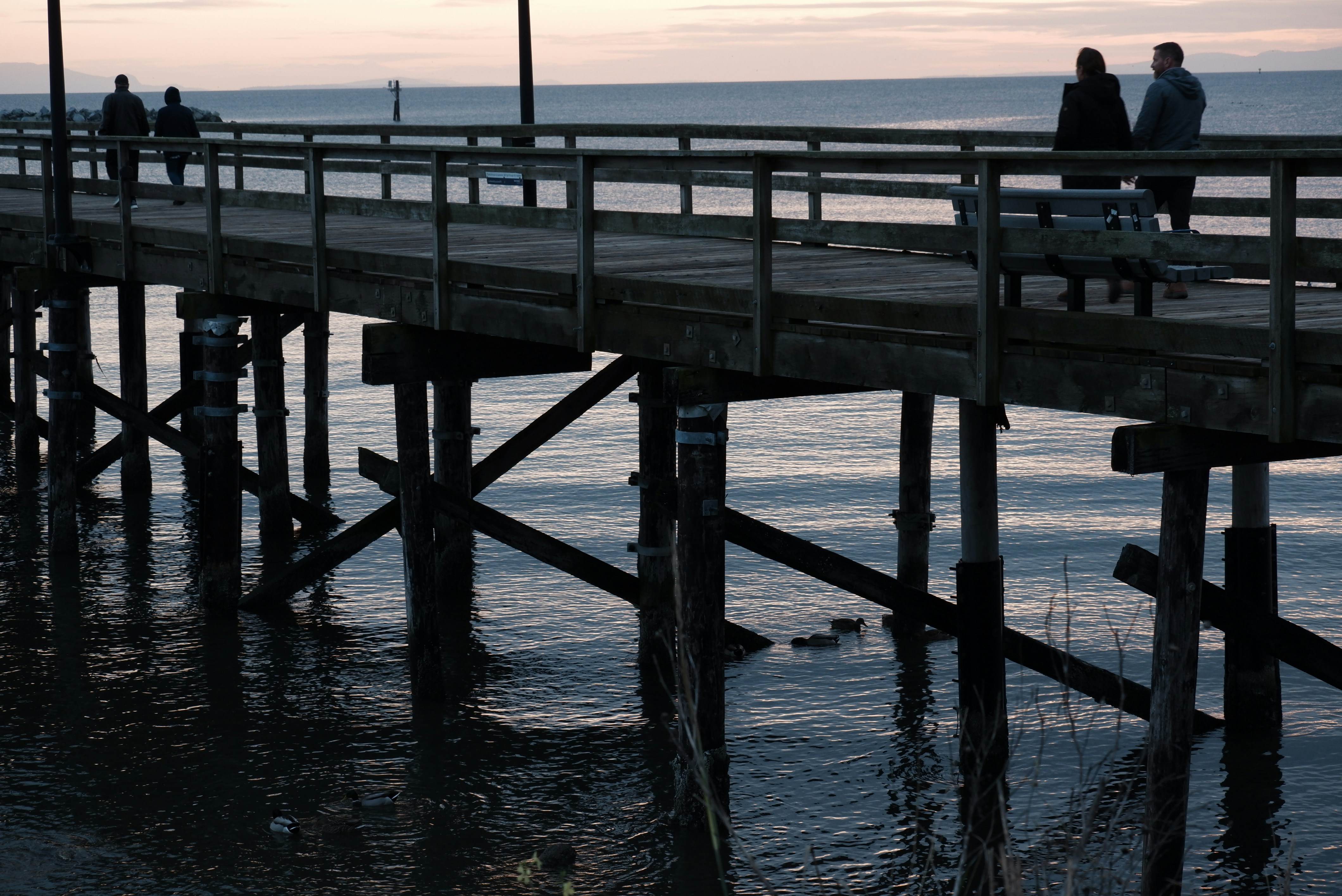 Photo by itsuka_iwaki