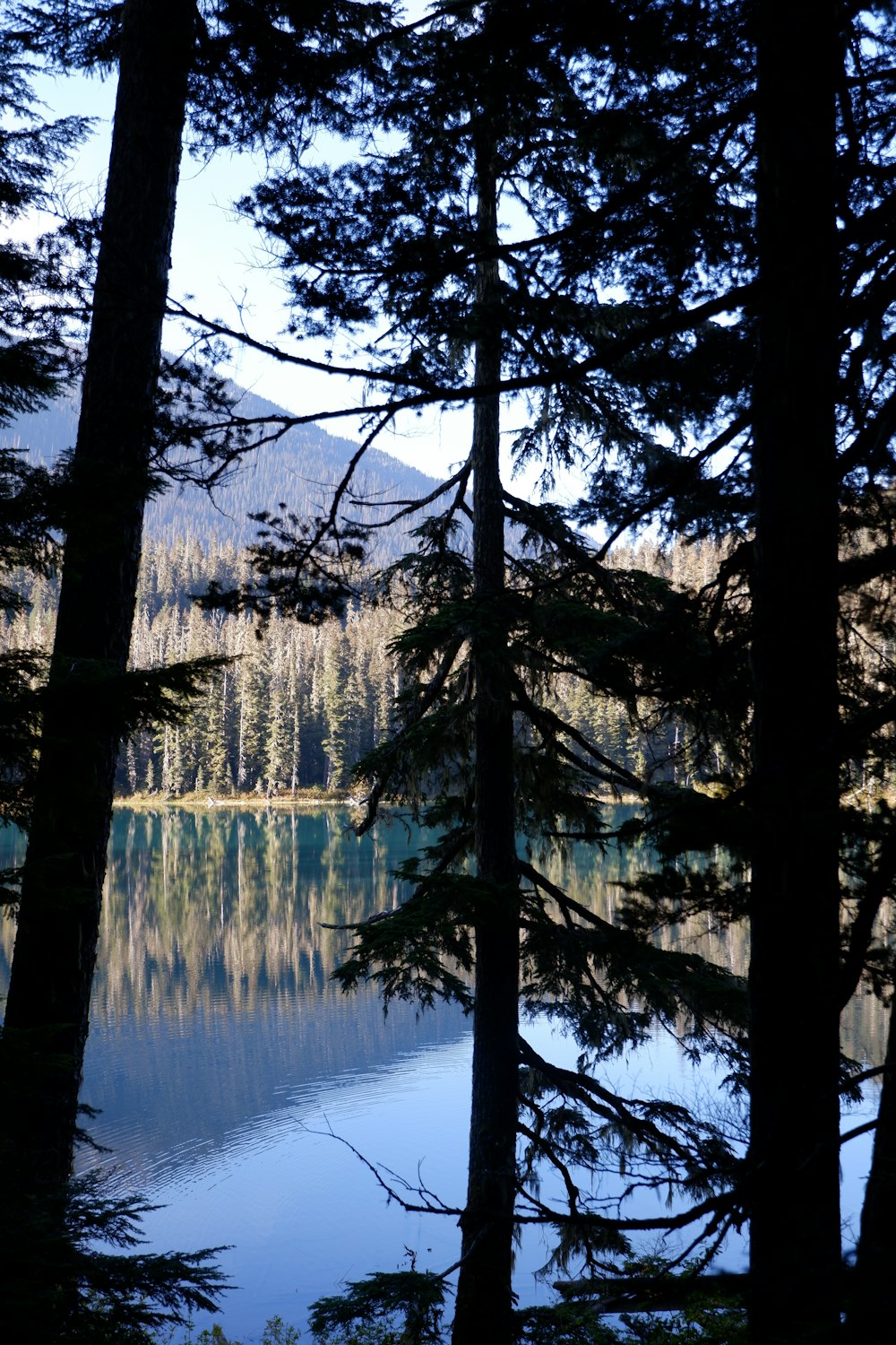 a lake surrounded by trees with a mountain in the background