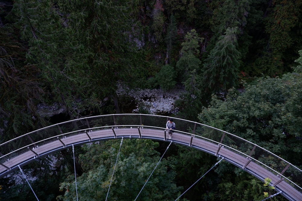 a person walking across a bridge in the middle of a forest