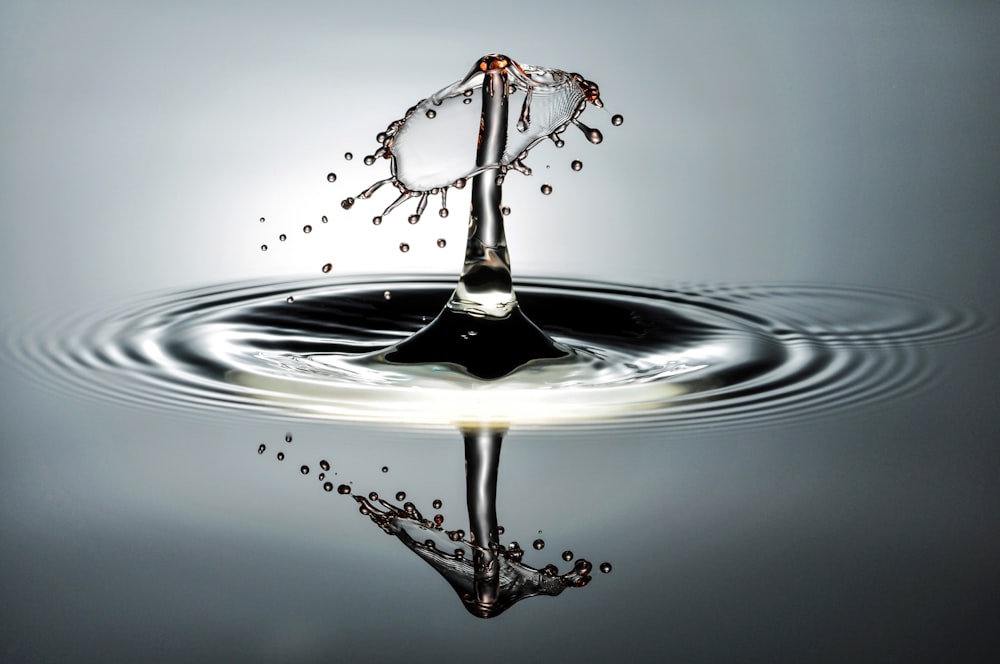 a drop of water falling into a body of water