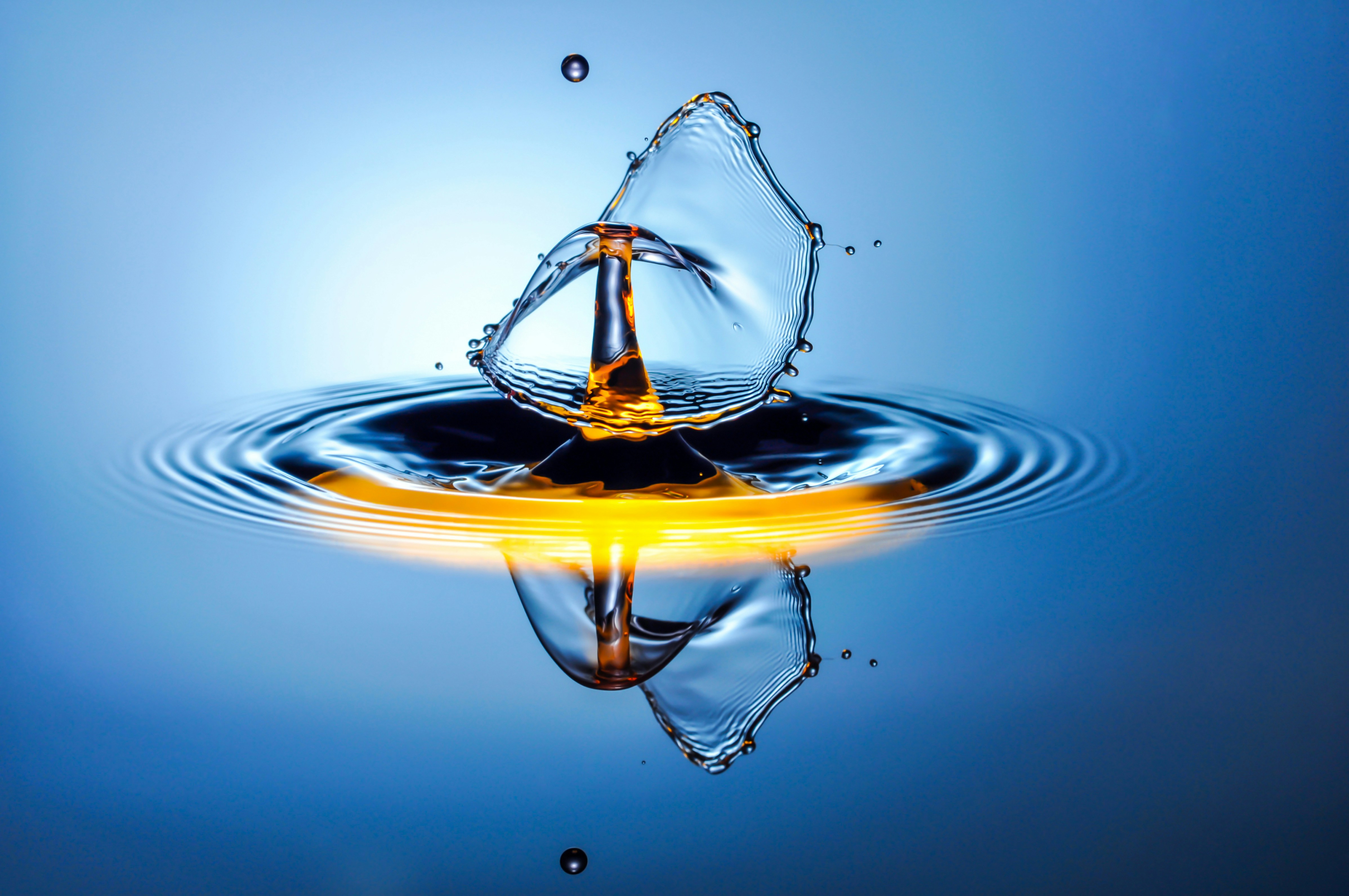 Photo by hamburgmeinefreundin