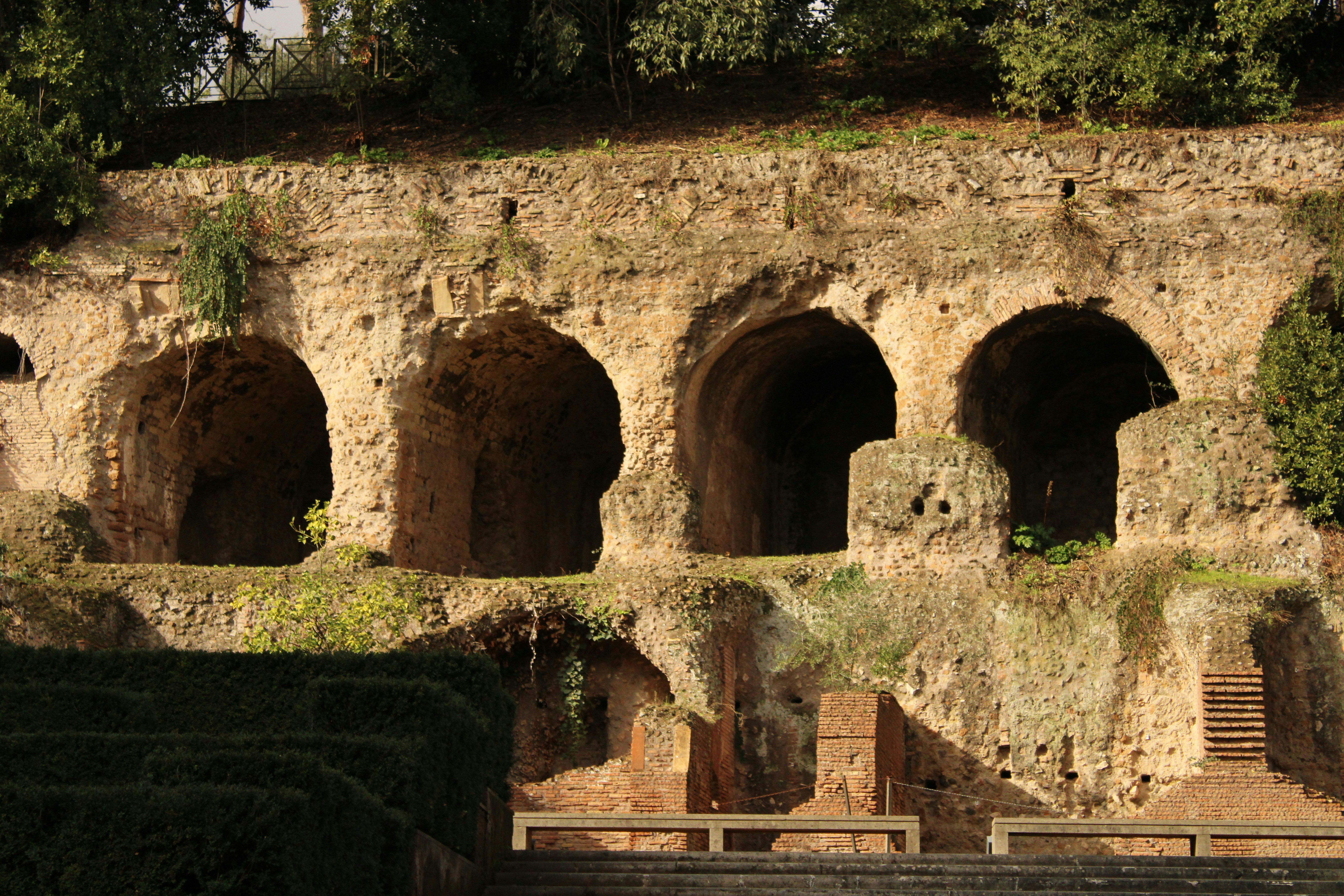 un mur de pierre avec un bouquet de plantes qui en sort
