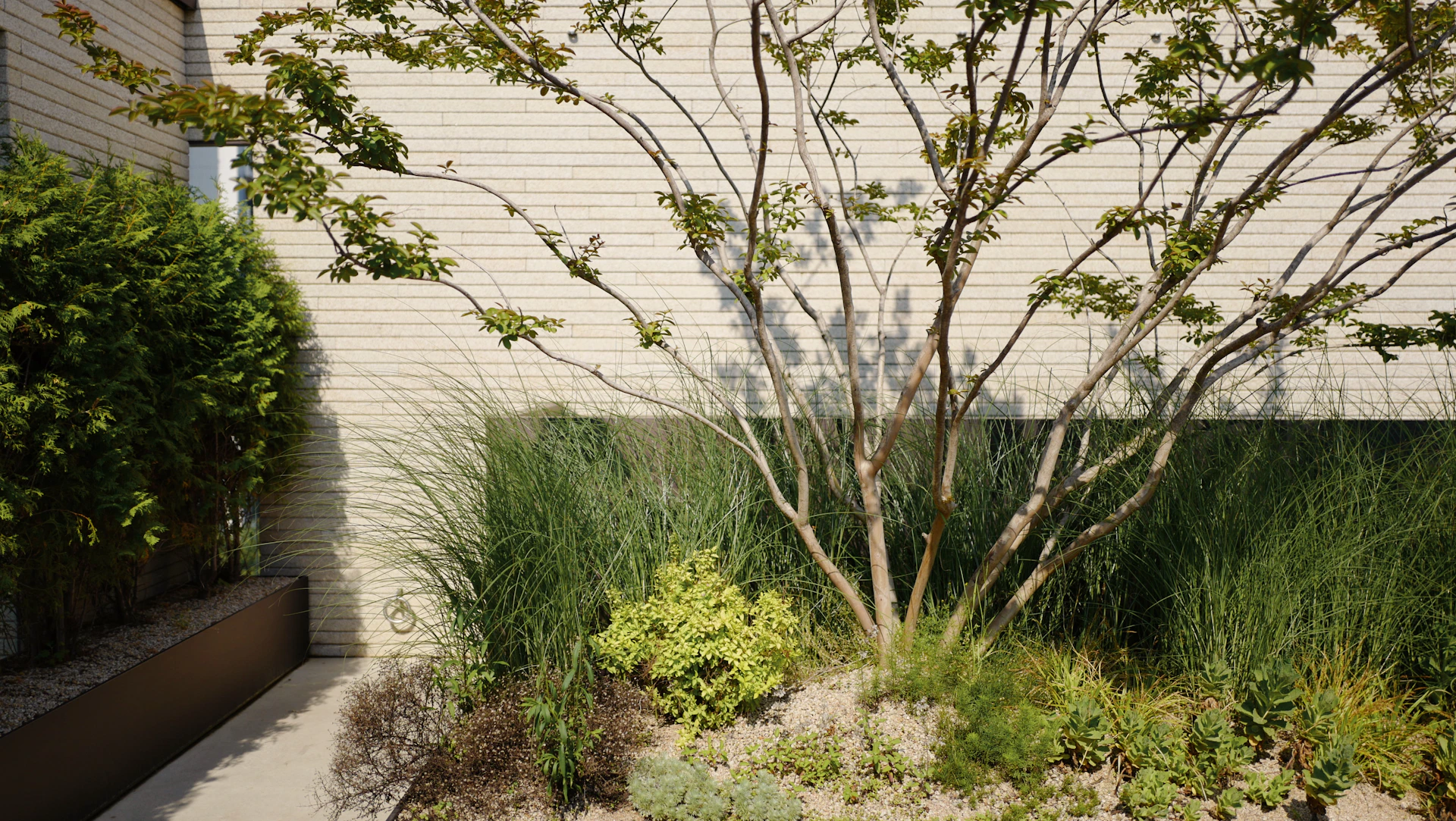 a small tree in a garden next to a building