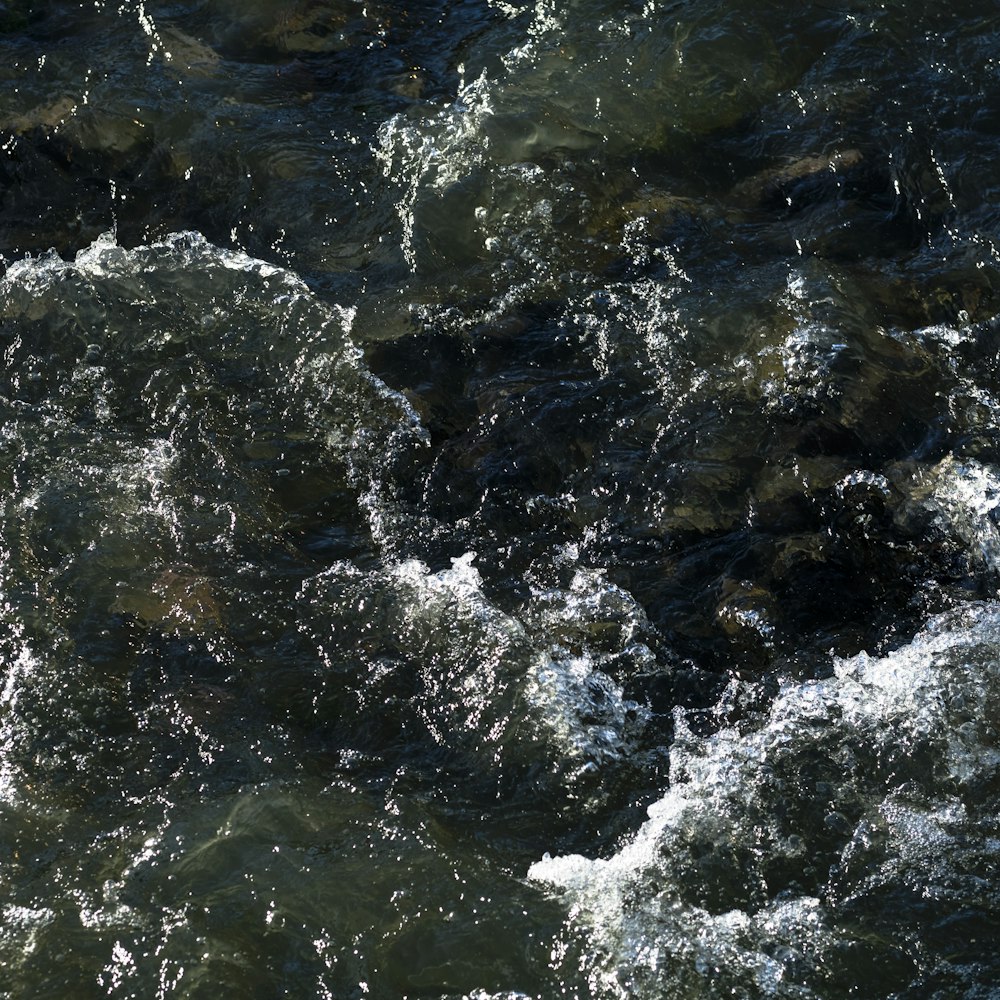 a view of a body of water from above