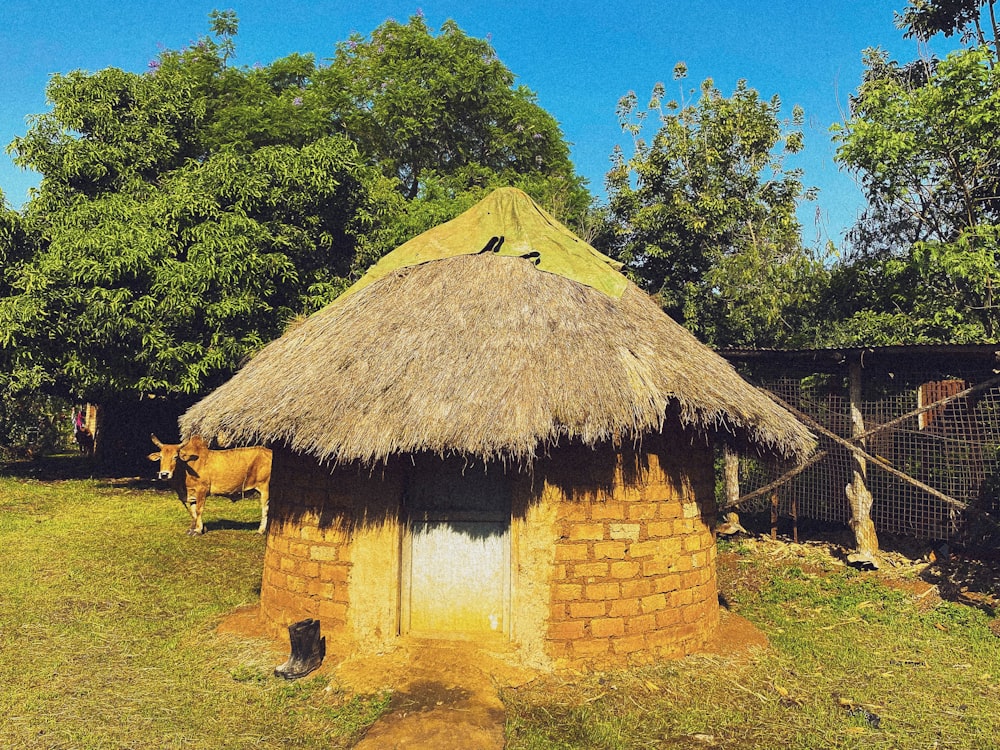 a small hut with a thatched roof and a cow in the yard