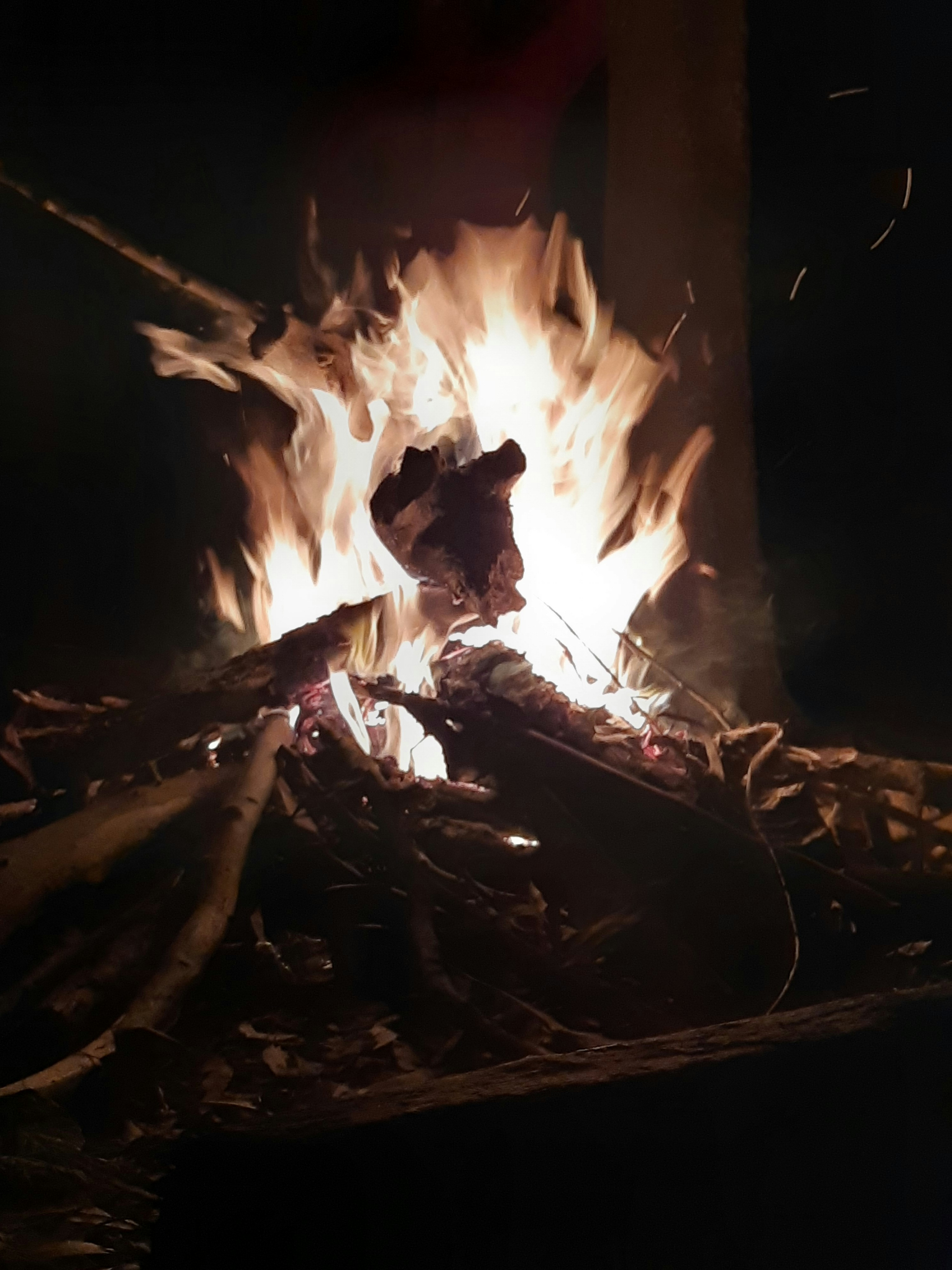 a fire burning in the dark with lots of wood