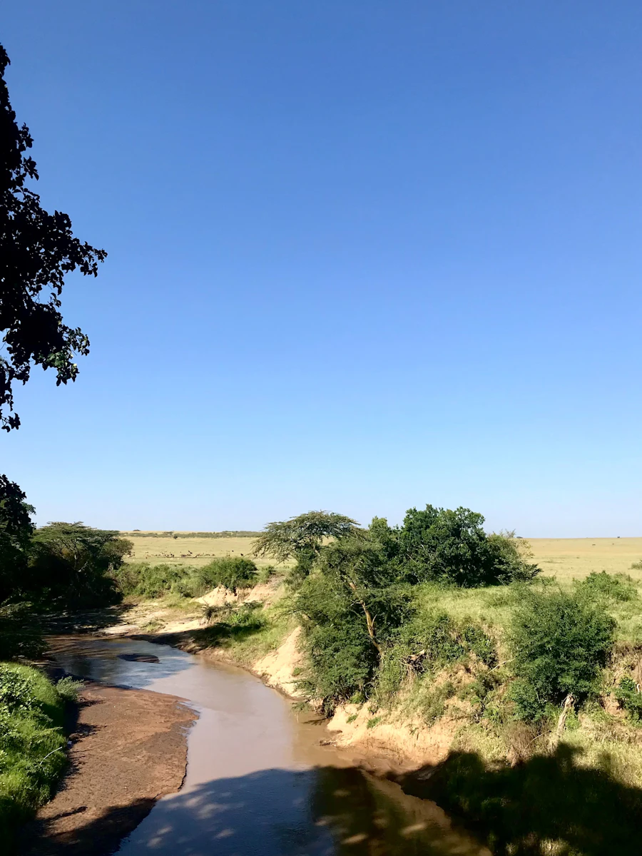 A river running through lush green fields in Kenya