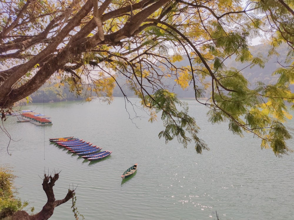 a lake filled with lots of boats floating on top of it