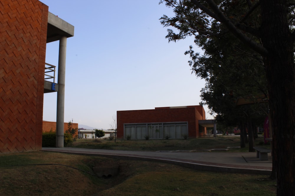 a building with a tree in front of it