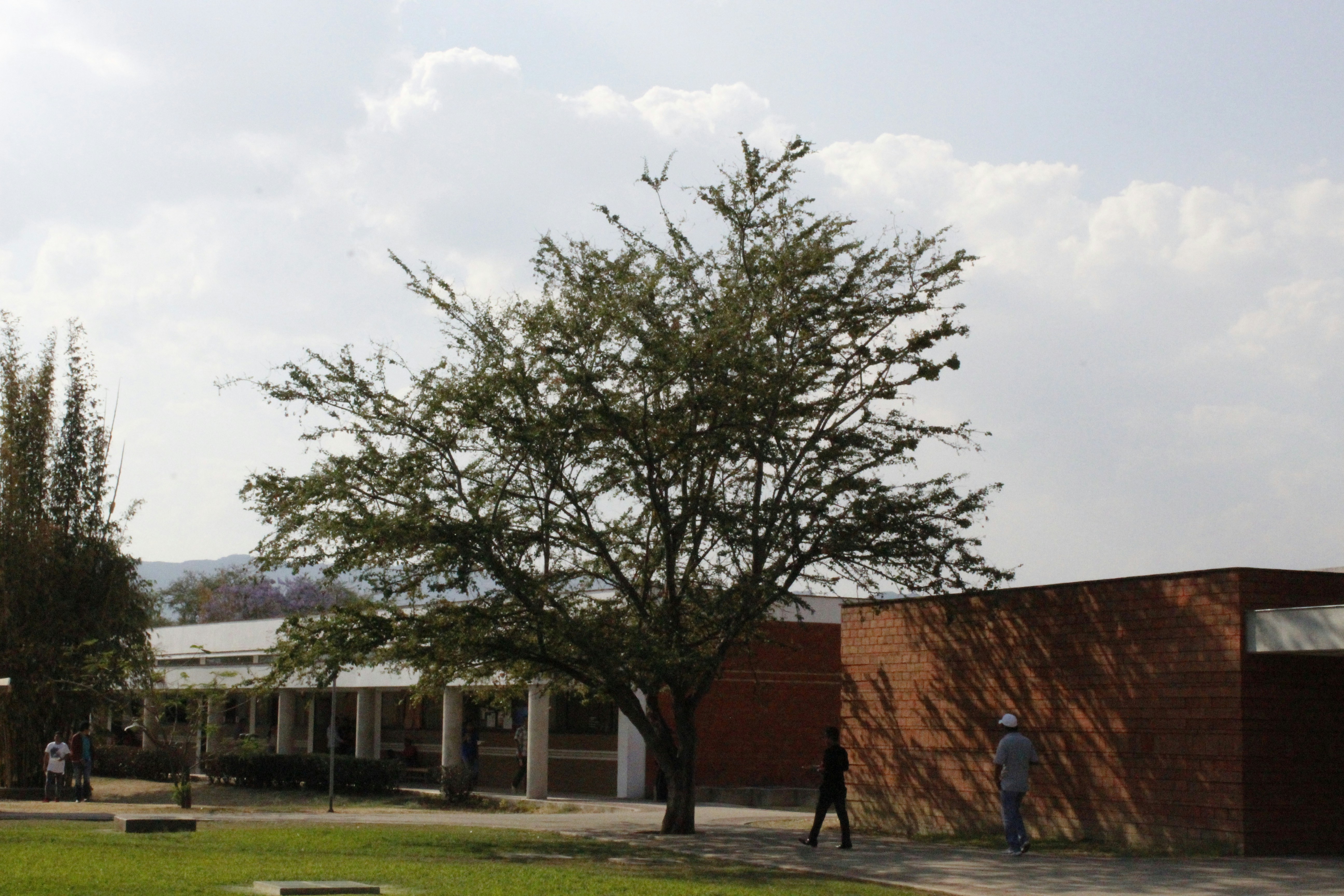 Binza high school