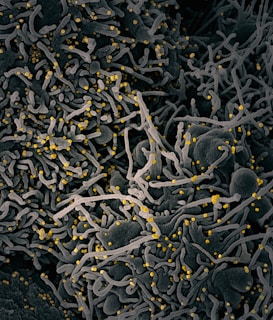 a close up of a cell phone with yellow dots on it