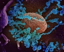a close up of a blue and purple substance