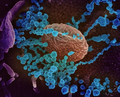 a close up of a blue and purple substance