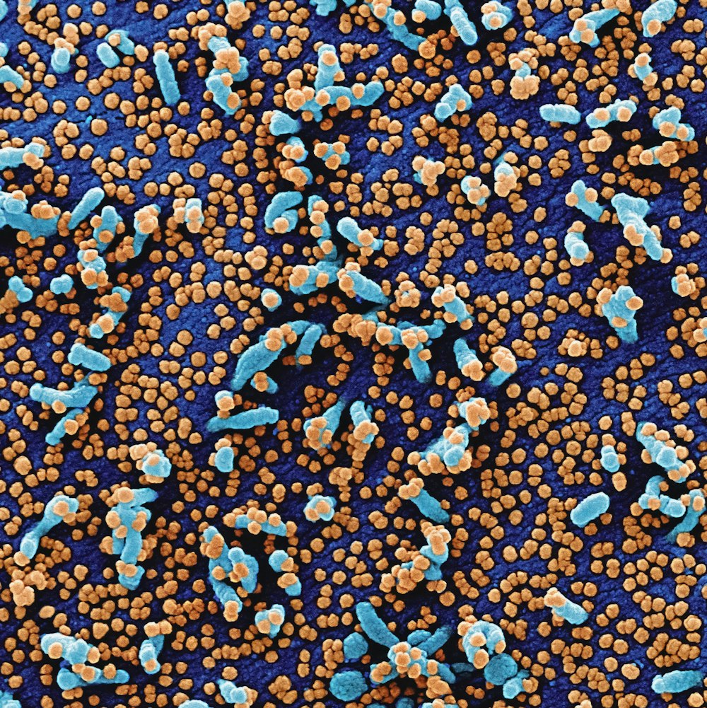 a group of blue and orange dots on a blue surface