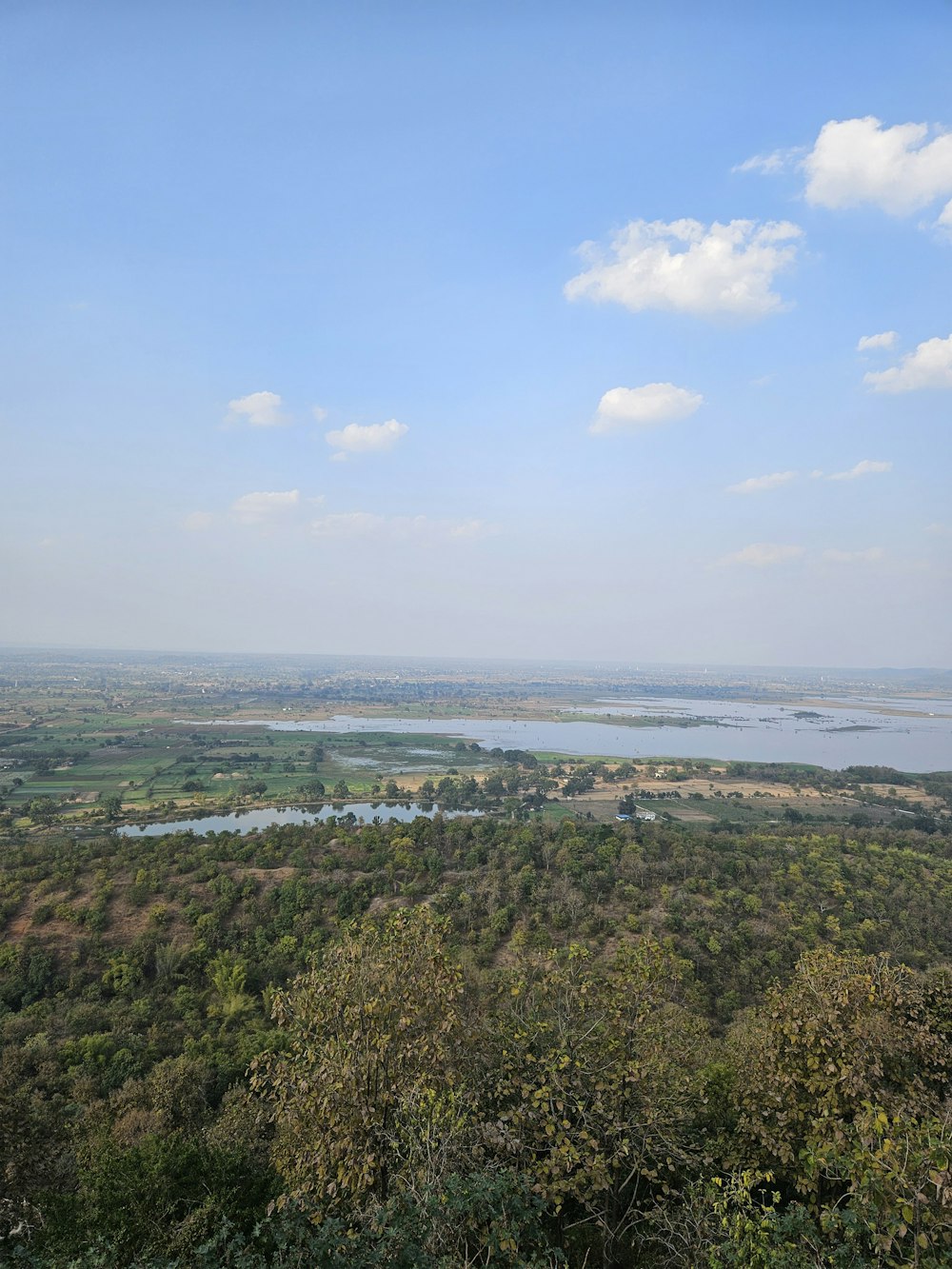 a view of a lake and a forest from a hill