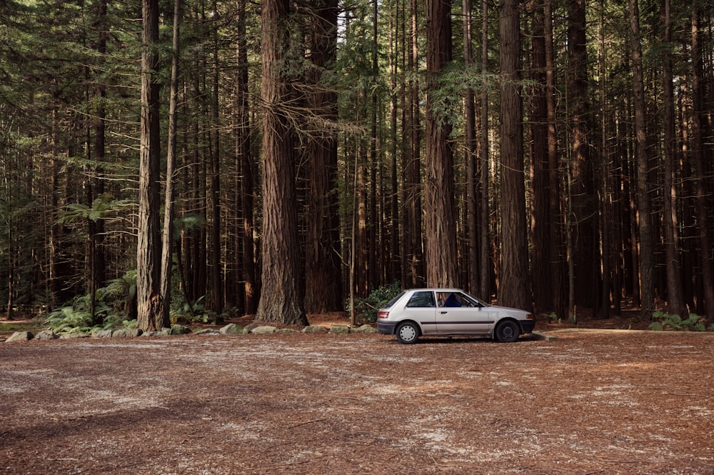 a white car parked in a forest next to tall trees