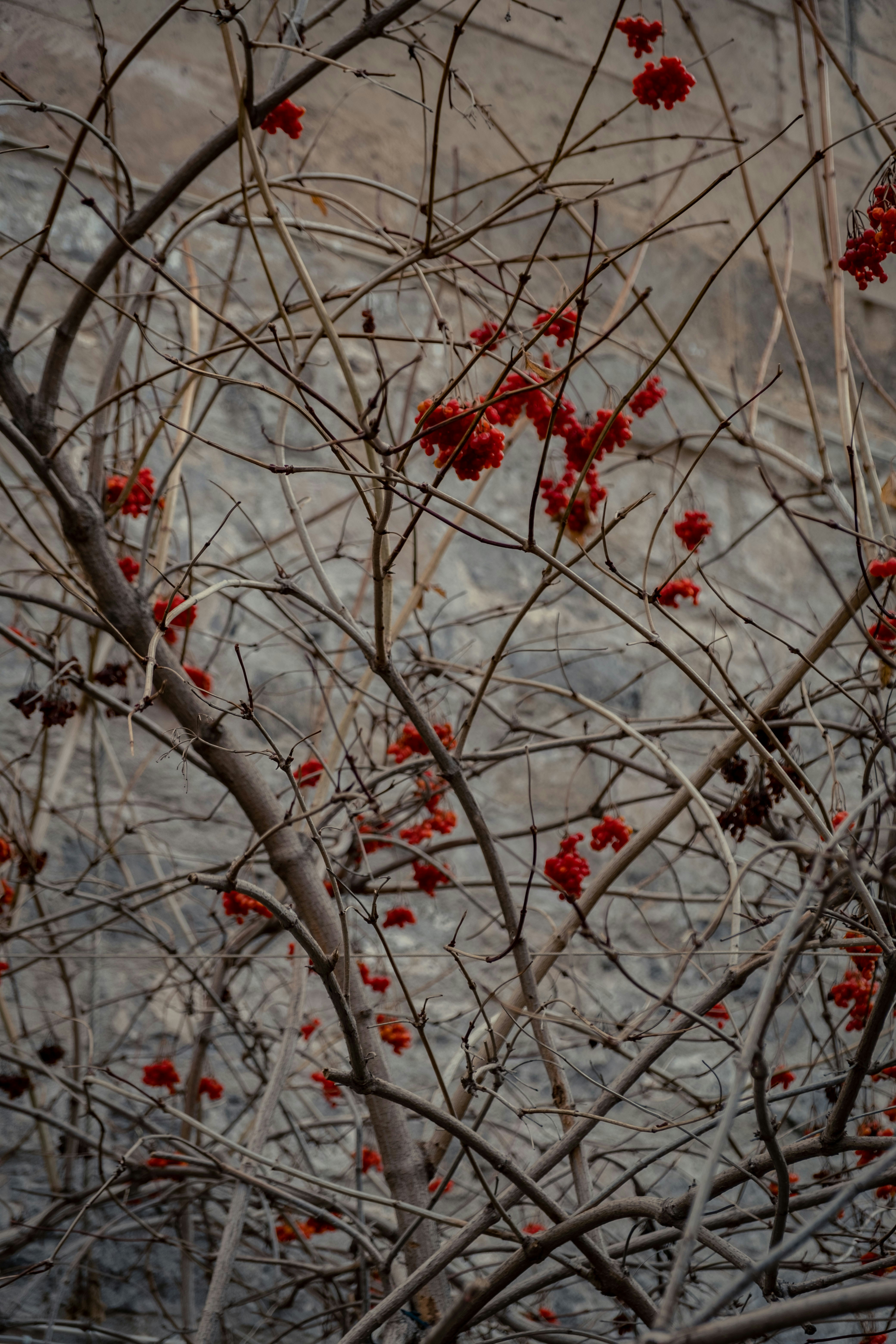 Photo by zeynepsudephoto