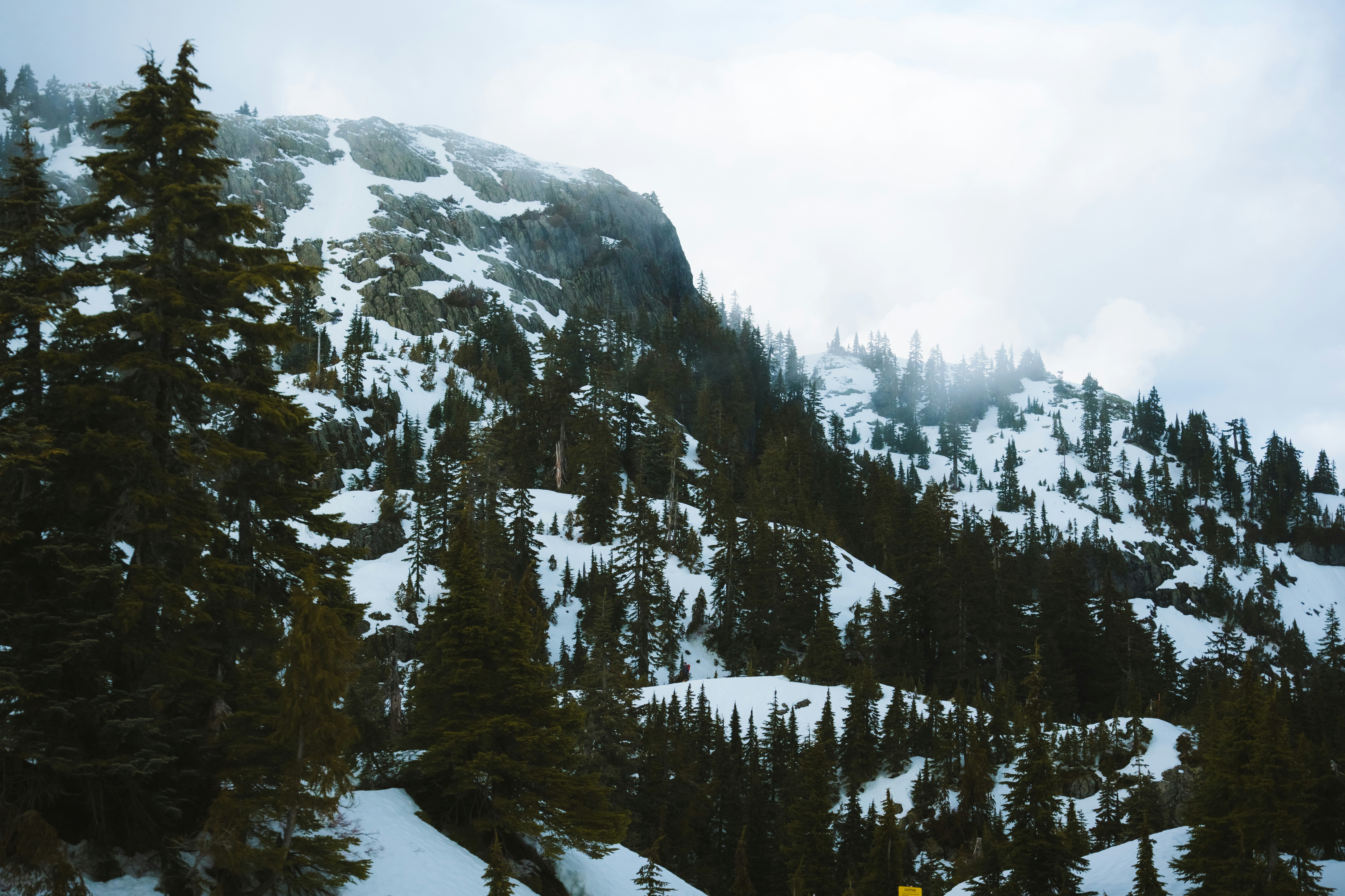 Photo by bylukemiller